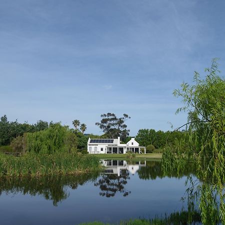 Sanddrif Stellenbosch Guest Farm Hotel Exterior photo